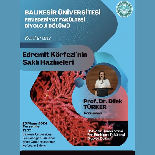 Edremit Körfezi'nin Saklı Hazineleri