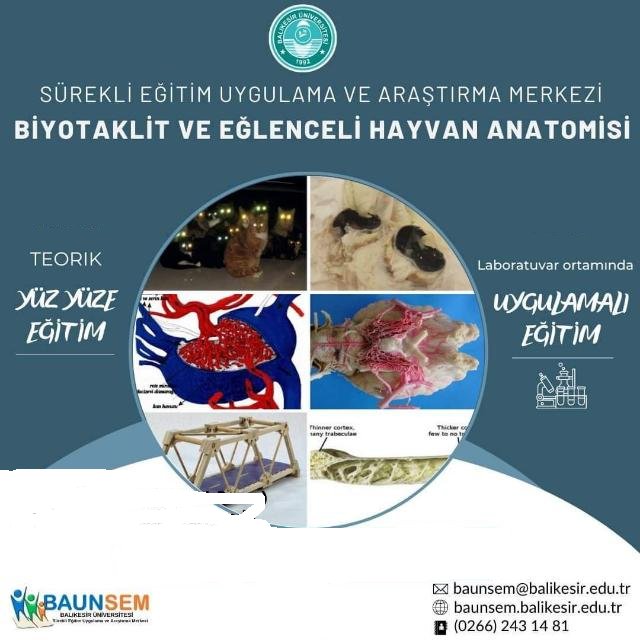 Liseler için Biyotaklit ve Anatomi İnteraktif Kursu