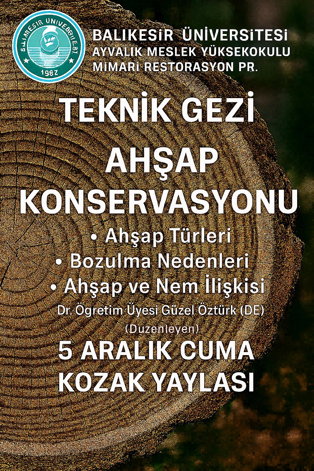 Teknik Gezi