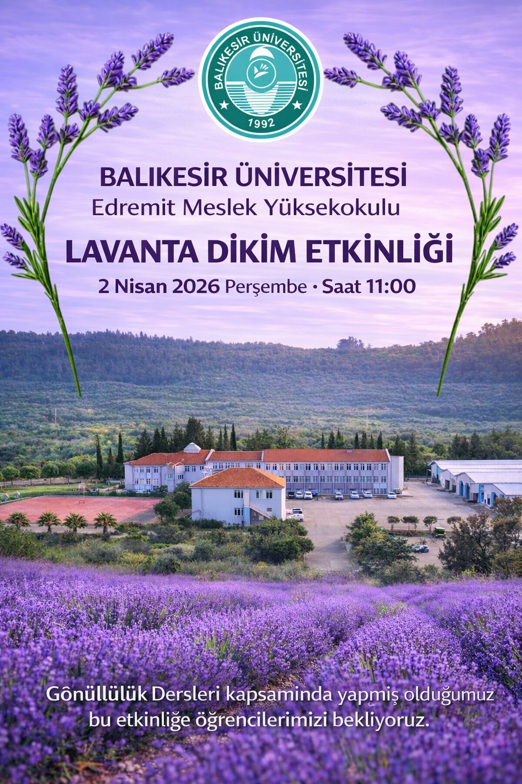Lavanta Dikim Etkinliği