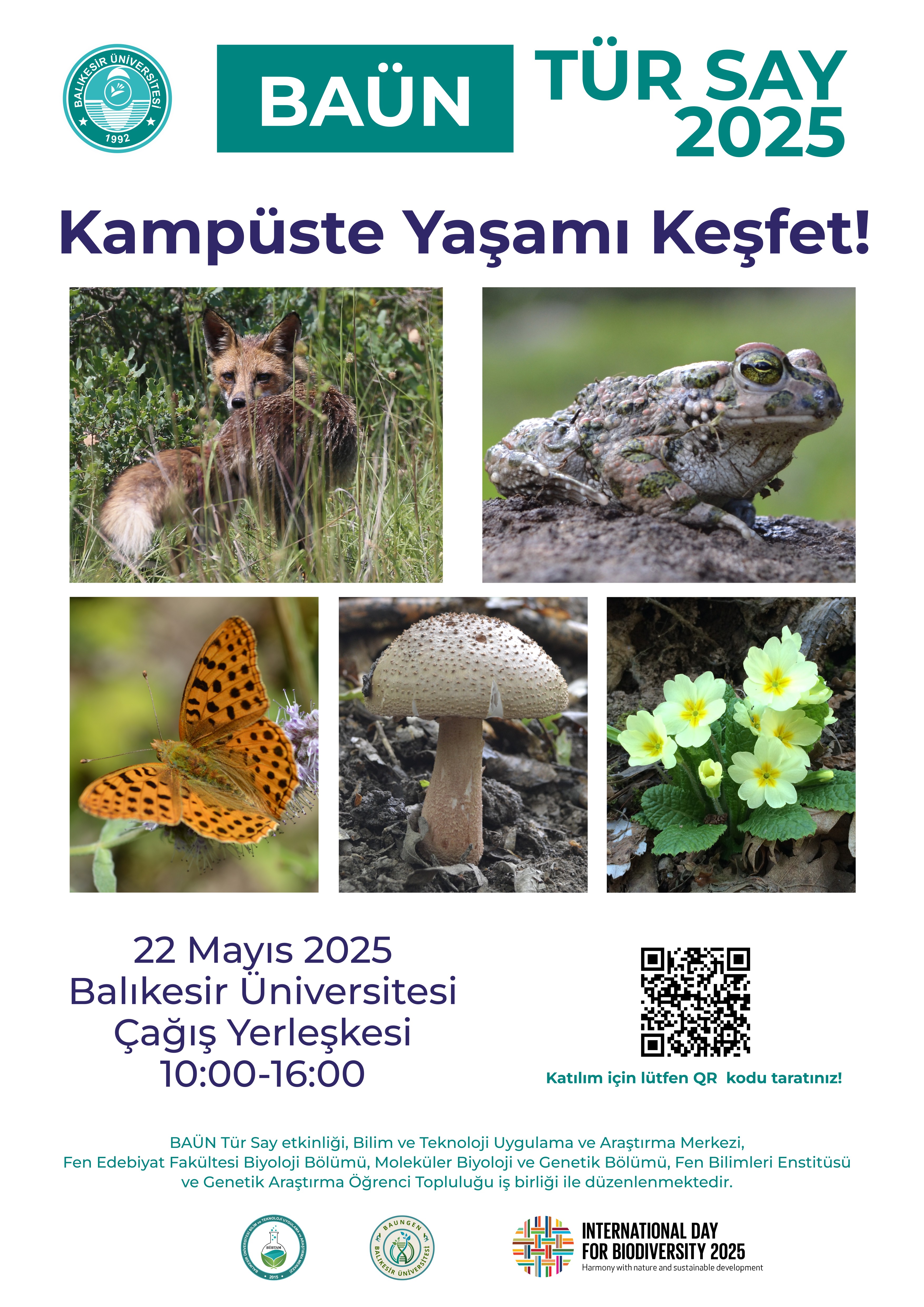Baün Tür Say 2025